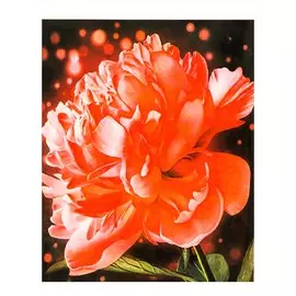 Роспись по холсту