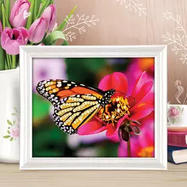 Роспись по номерам без подрамника