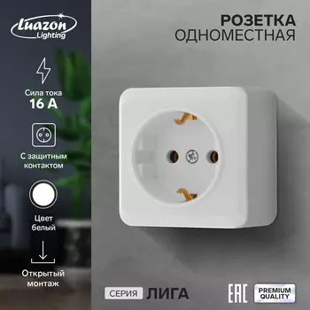 Розетка одноместная luazon lighting