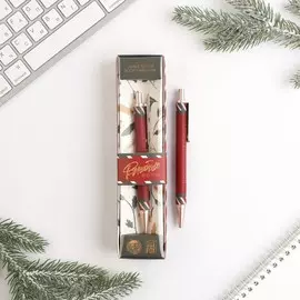 Ручка пластик в подарочной коробке