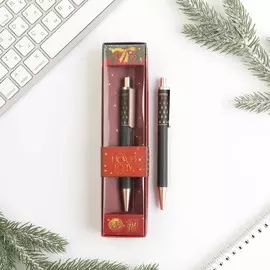 Ручка пластик в подарочной коробке