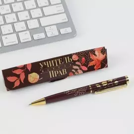 Ручка шариковая в подарочном футляре, металл, синяя паста, 1.0 мм