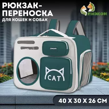 Рюкзак для переноски кошек и собак, прозрачный, 40 х 30 х 26 см, серо-зеленый