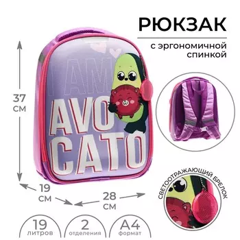 Рюкзак каркасный школьный, 37 х 28 х 19 см, calligrata к