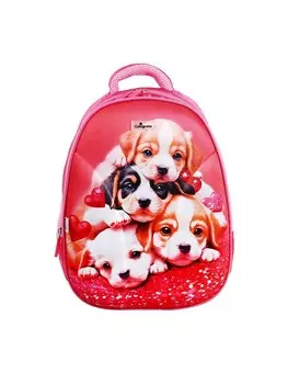 Рюкзак каркасный школьный calligrata