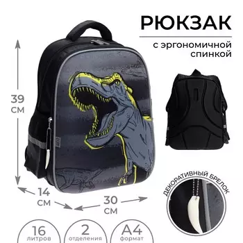 Рюкзак каркасный школьный calligrata