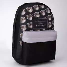 Рюкзак молодежный, отд на молнии, н/карман,