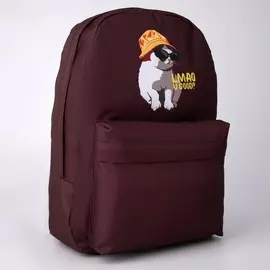 Рюкзак молодежный, отд на молнии, н/карман,