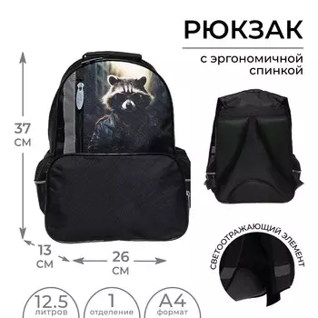 Рюкзак школьный, 372613 см, эргономичная спинка, calligrata top