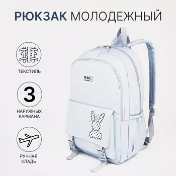 Рюкзак школьный на молнии, с карманами, с рисунком, размер 301344 см, голубой