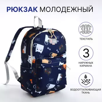 Рюкзак школьный из текстиля на молнии, 3 кармана, цвет синий