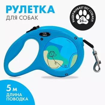 Рулетка 5 м