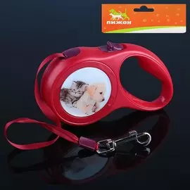 Рулетка с принтом