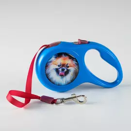 Рулетка с принтом