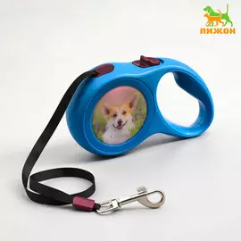 Рулетка с принтом