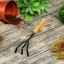 Рыхлитель, длина 25 см, деревянная ручка, greengo
