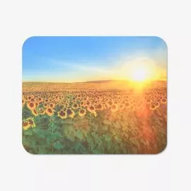 Салфетка для очков tao35