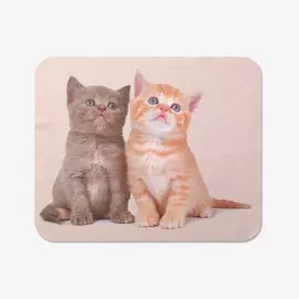 Салфетка для очков tao41