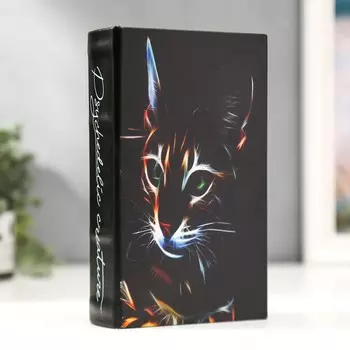 Шкатулка книга-сейф