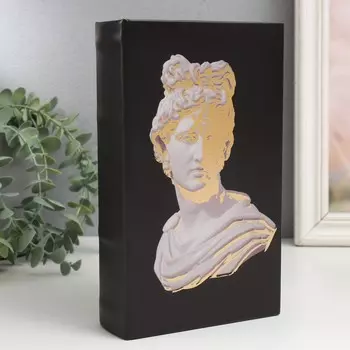 Шкатулка книга-сейф