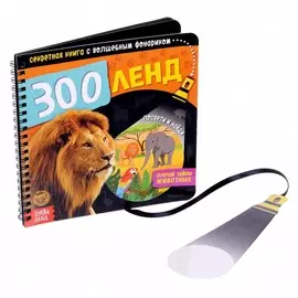 Секретная книга с волшебным фонариком