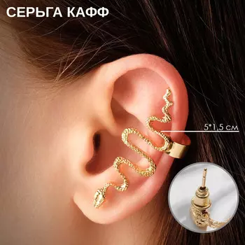 Серьга
