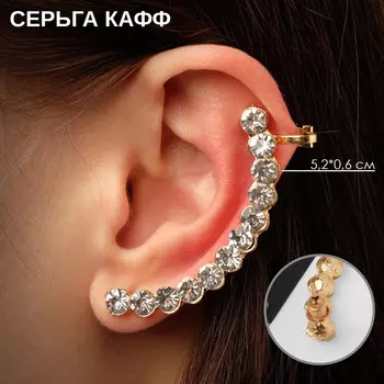 Серьга