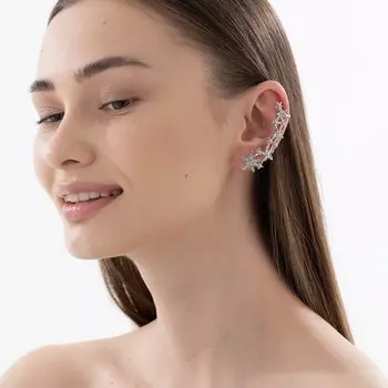 Серьга