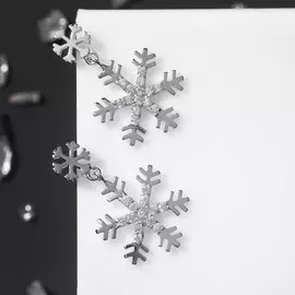 Серьги