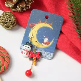 Серьги