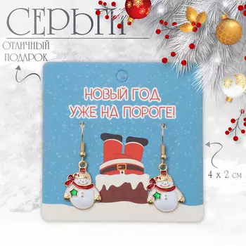 Серьги