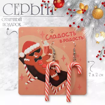 Серьги