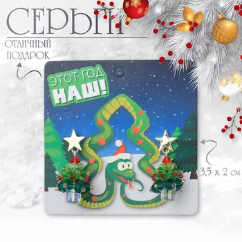 Серьги