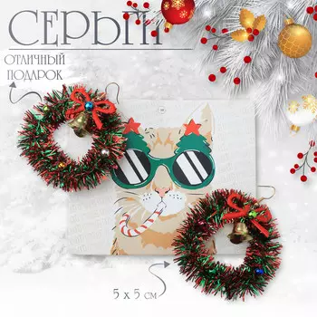Серьги