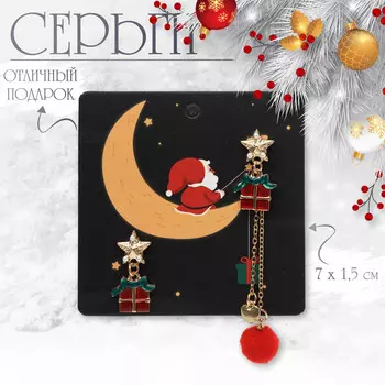 Серьги