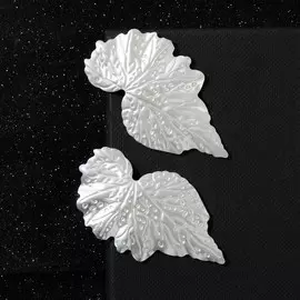 Серьги металл