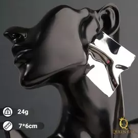 Серьги металл