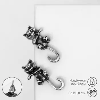 Серьги металл