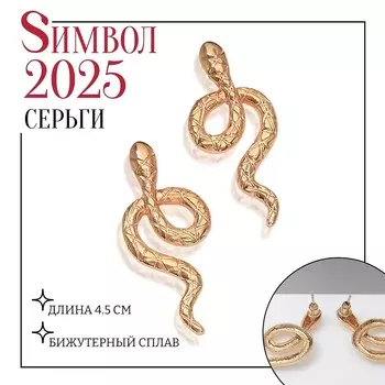 Серьги металл
