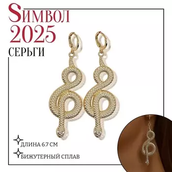 Серьги металл