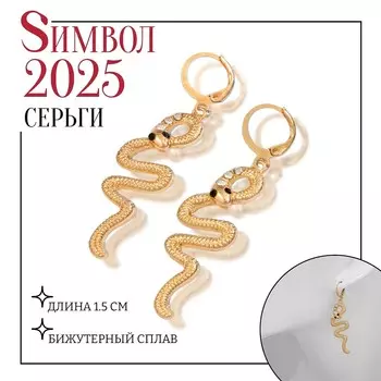 Серьги металл
