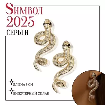 Серьги металл