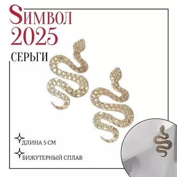 Серьги металл