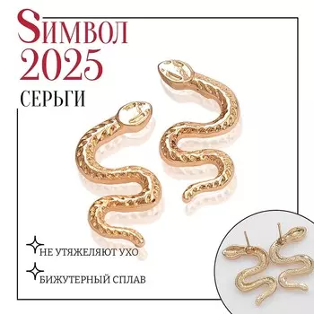 Серьги металл