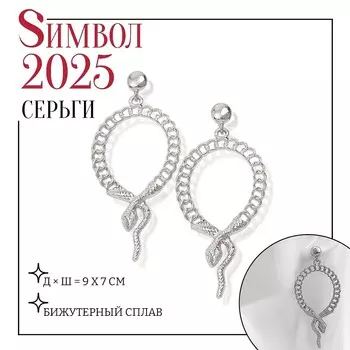 Серьги металл