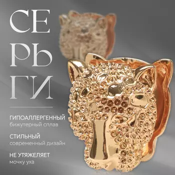 Серьги металл