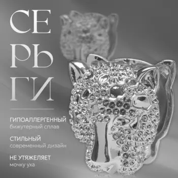 Серьги металл