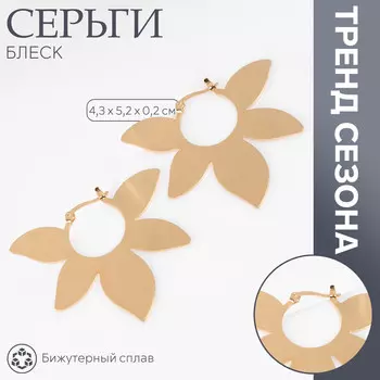 Серьги металл