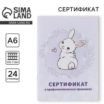Сертификат о профилактических прививках а6, зайка, 24 страницы