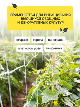 Сетка садовая для огурцов, шпалерная, 52 м, ячейка 1515 см, greengo